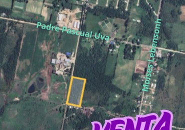 Hectareas en venta Pascual Uva 