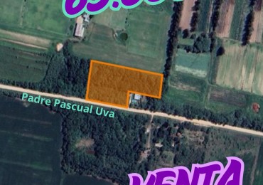 Terreno en venta Pascual Uva