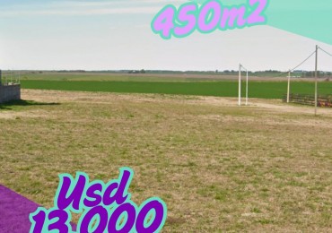 Lote en venta Sauce Pinto